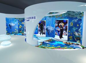 山東尋山集團海洋牧場展廳多媒體中控系統(tǒng)設計服務